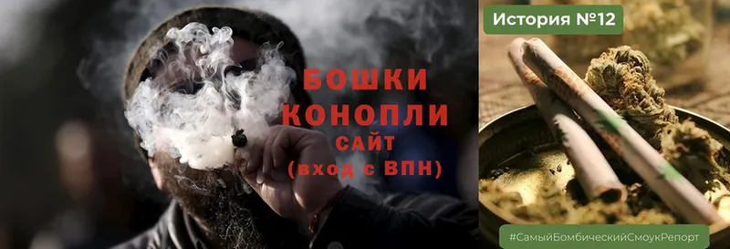 как найти наркотики  Зеленогорск  Конопля White Widow 